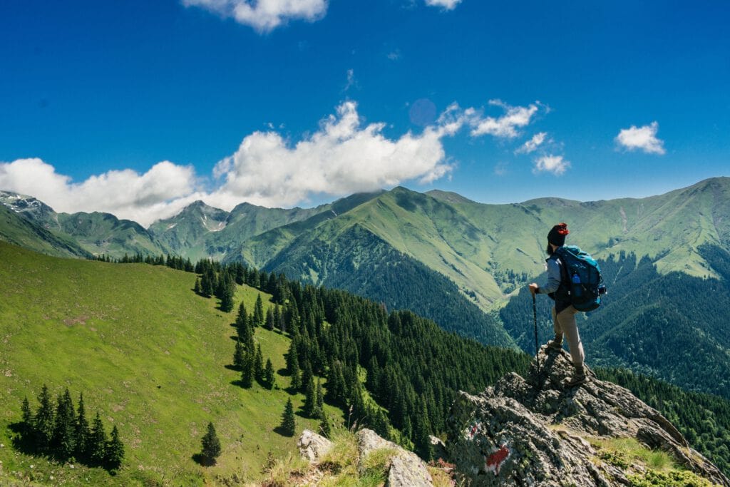 pexels-andrei-tanase-1271619-1024x683