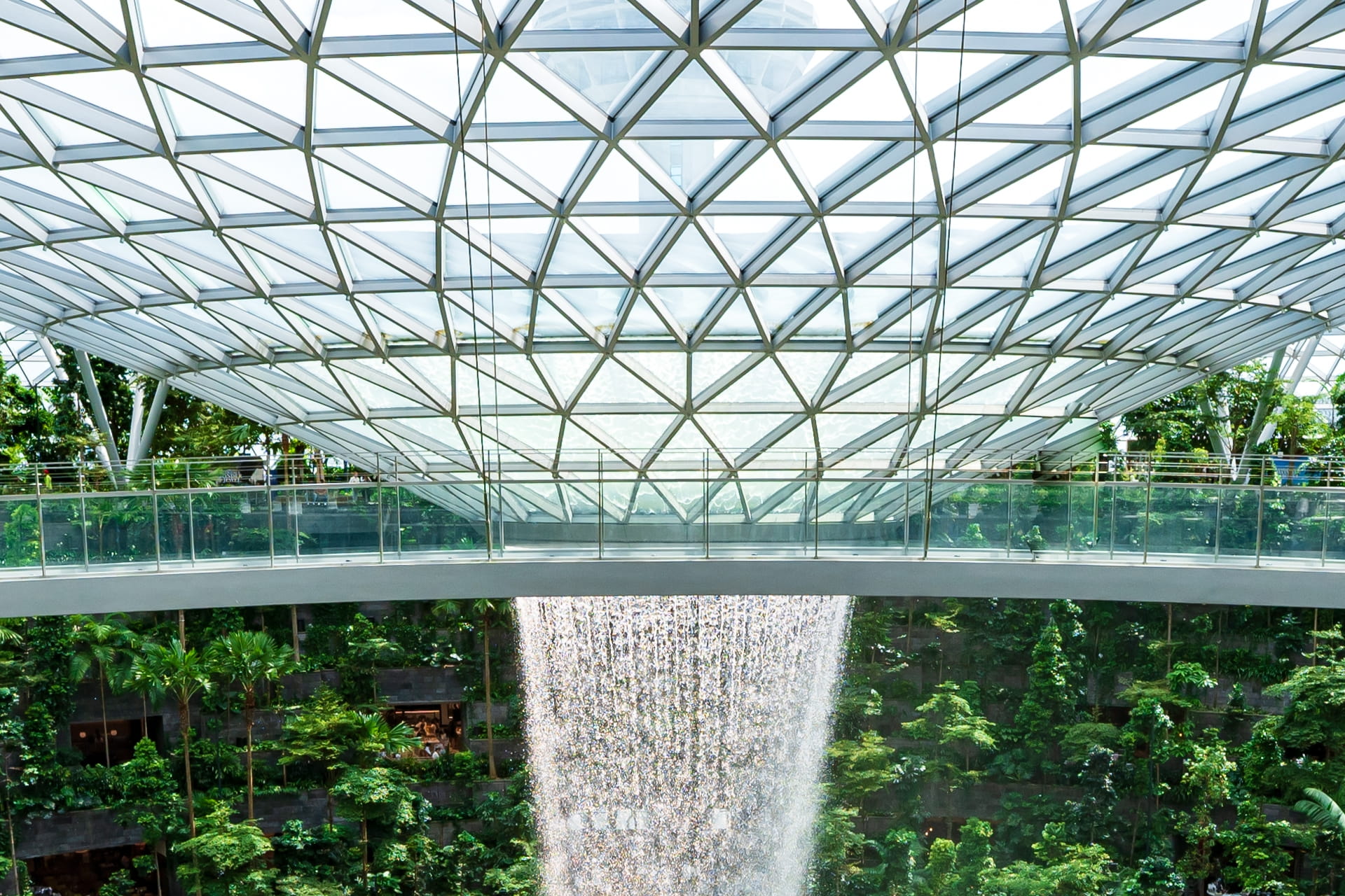 glass-roof-with-walkway-plants-inside